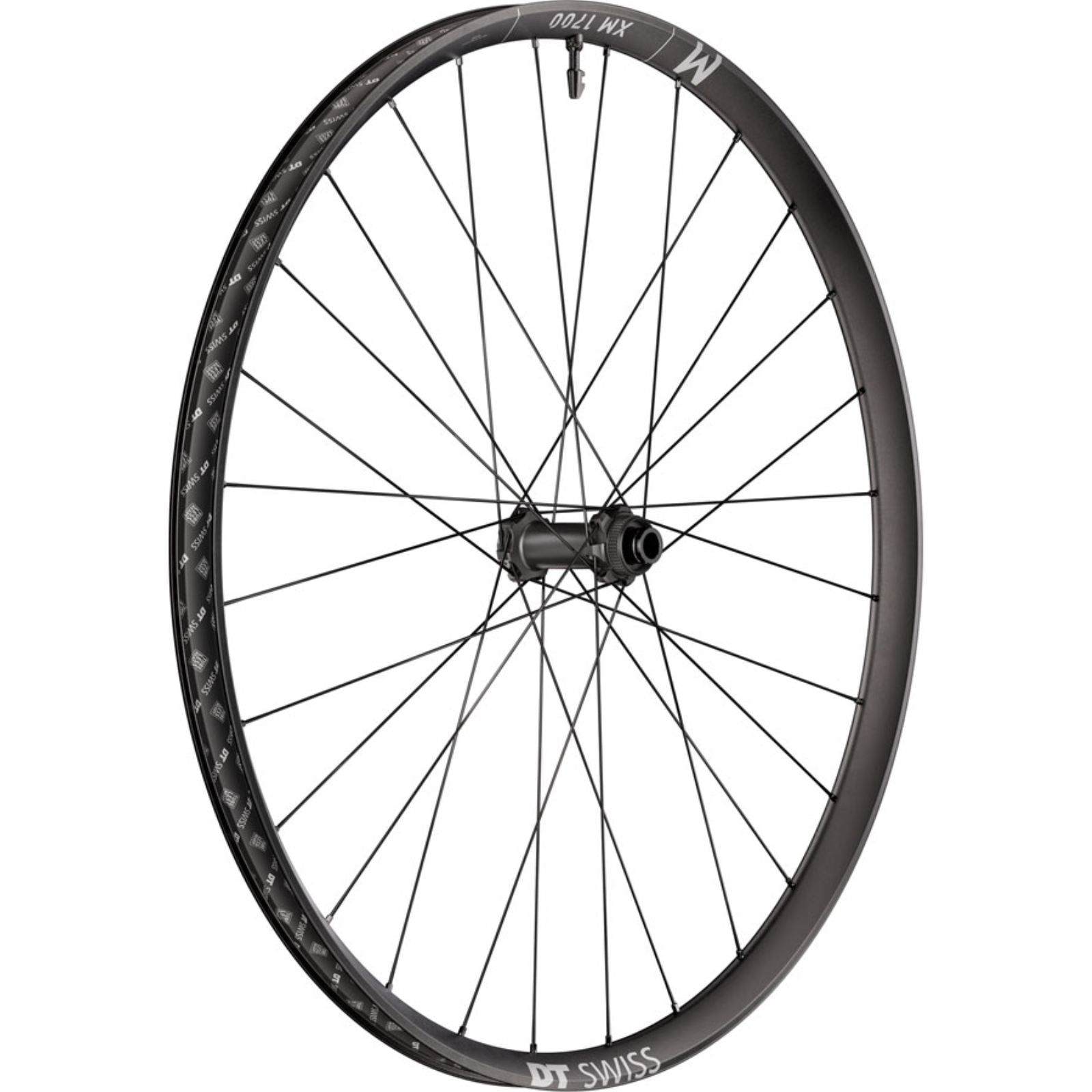 DT Swiss XM 1700 Spline 30 Front Wheel - 27.5", 15 x 110mm, Black [MPN: WXM1700BGIXSA27955]_2348128