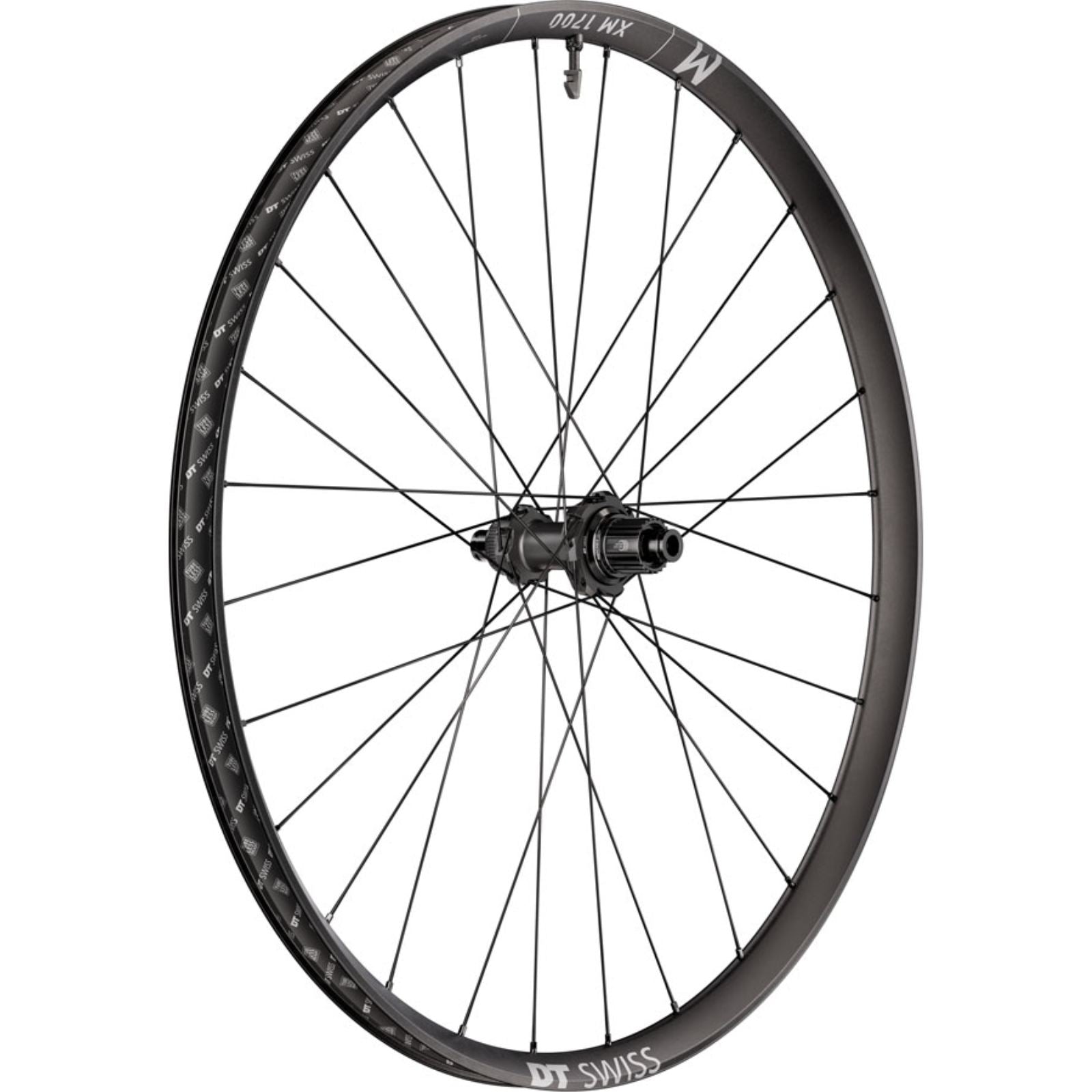 DT Swiss XM 1700 Spline 30 Rear Wheel - 29", 12 x 148mm, Black [MPN: WXM1700TED2SA27946]_2348129