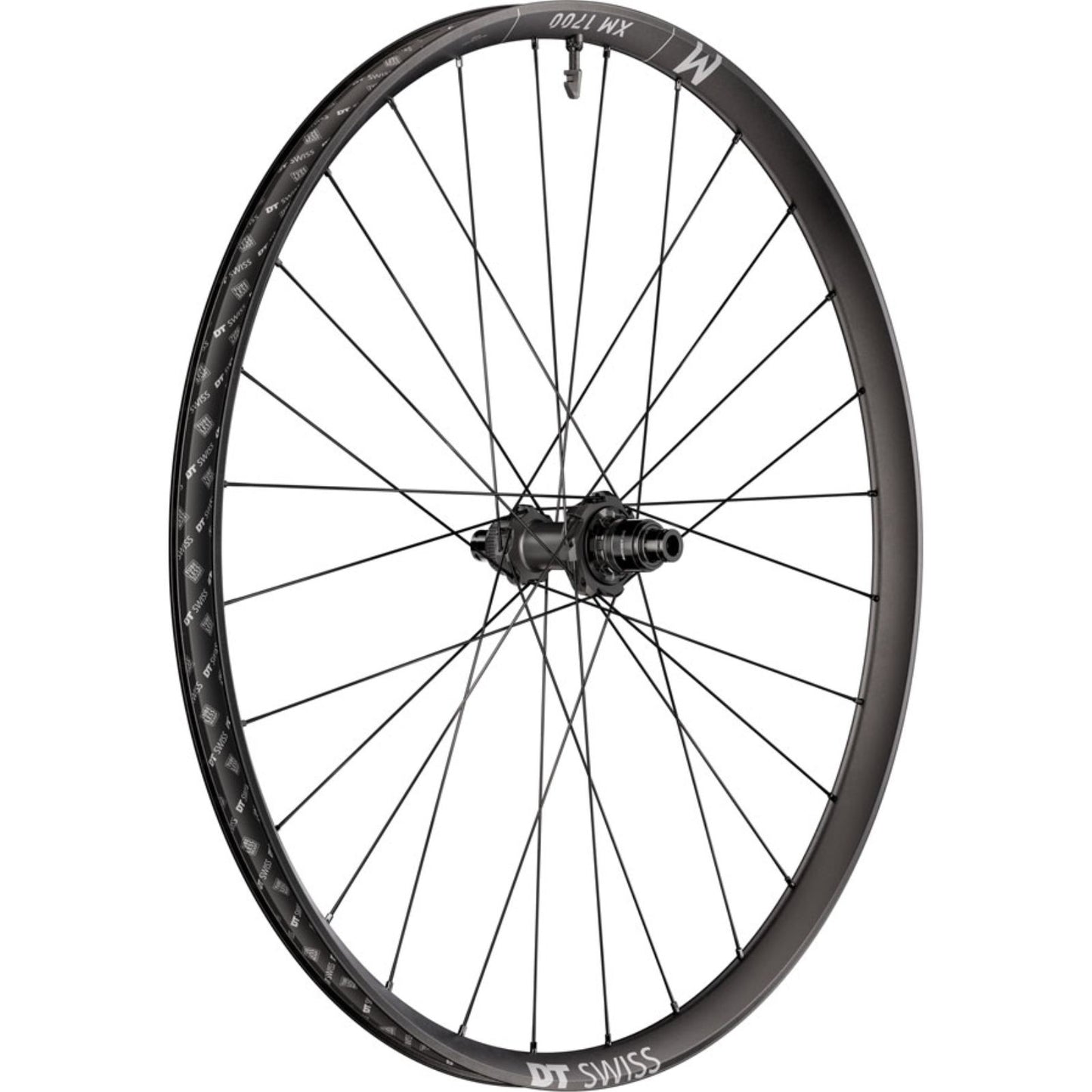 DT Swiss XM 1700 Spline 30 Rear Wheel - 29", 12 x 148mm, Black [MPN: WXM1700TEDRSA27945]_2348130