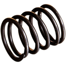 WSM Rotary Valve Spring 010-453_498947