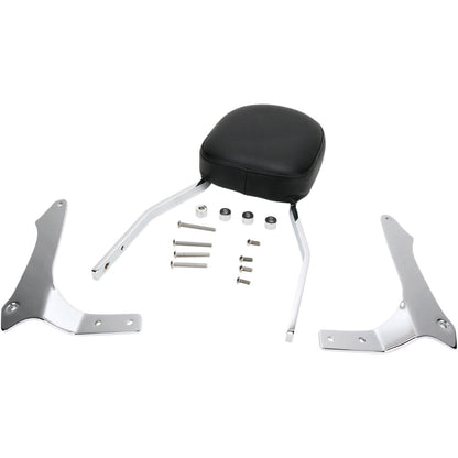 Cobra Sissy Bar - Standard - Raider 02-5265_361103