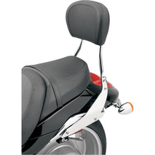 Cobra Sissy Bar - Tall - VZR 1800 02-7845_361079