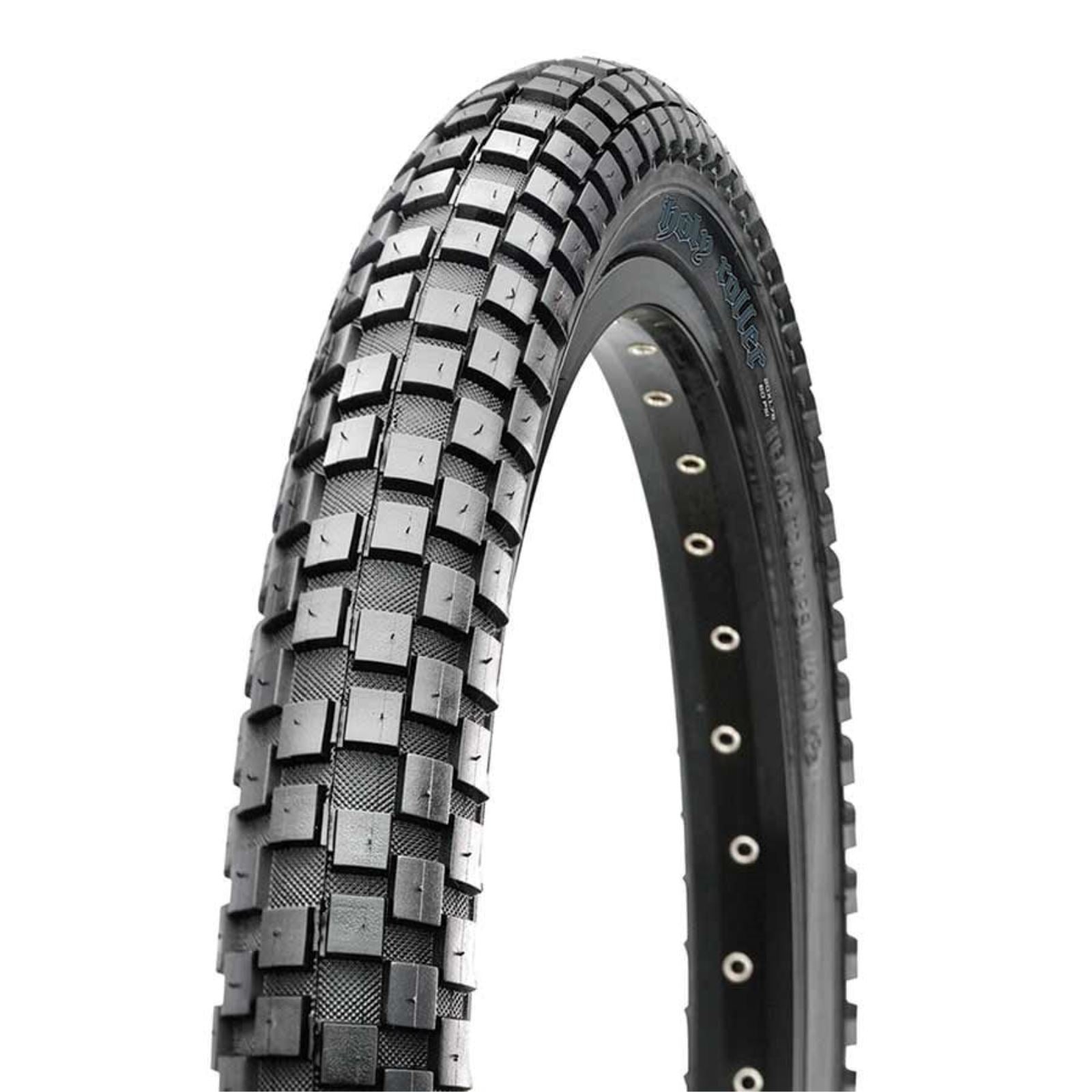 Maxxis - Bicycle Holy Roller Tire - 20''x1.95 Wire, Clincher, 60TPI - Black TB29478000_1155945