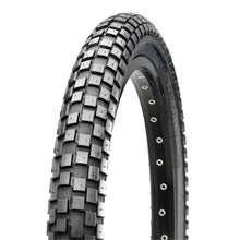 Maxxis - Bicycle Holy Roller Tire - 20''x1.95 Wire, Clincher, 60TPI - Black TB29478000_1155945