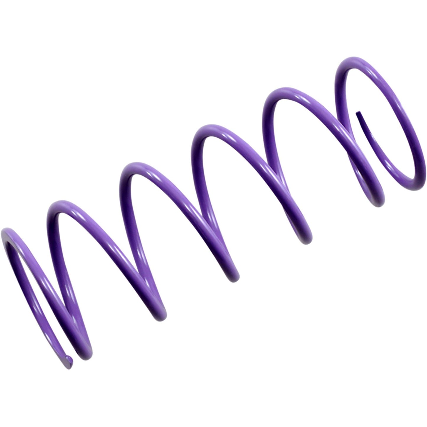 EPI Primary Spring - Purple PATV4_383035