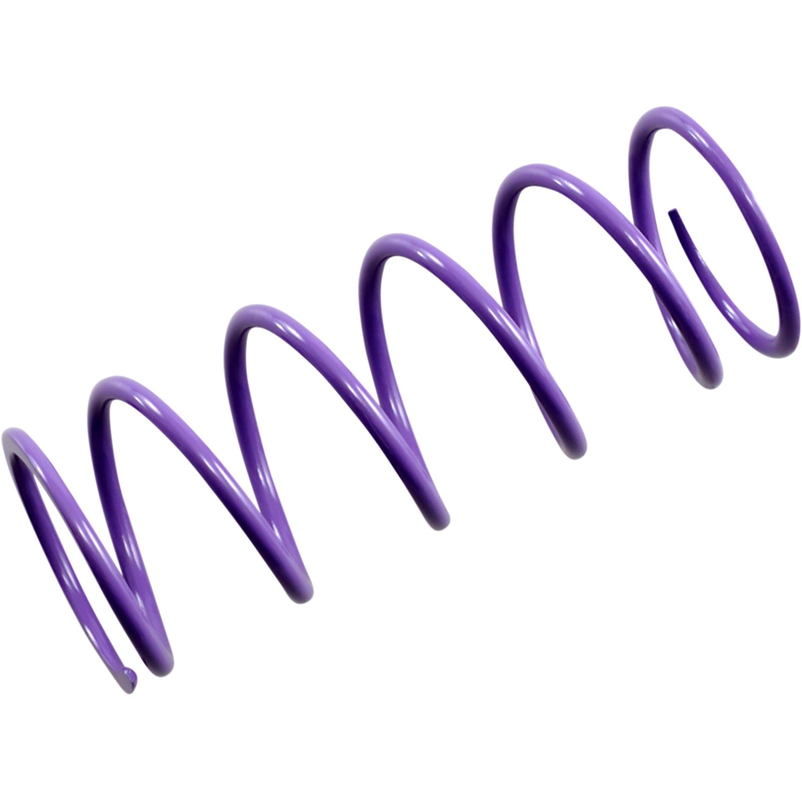 EPI Primary Spring - Purple PATV4_383035