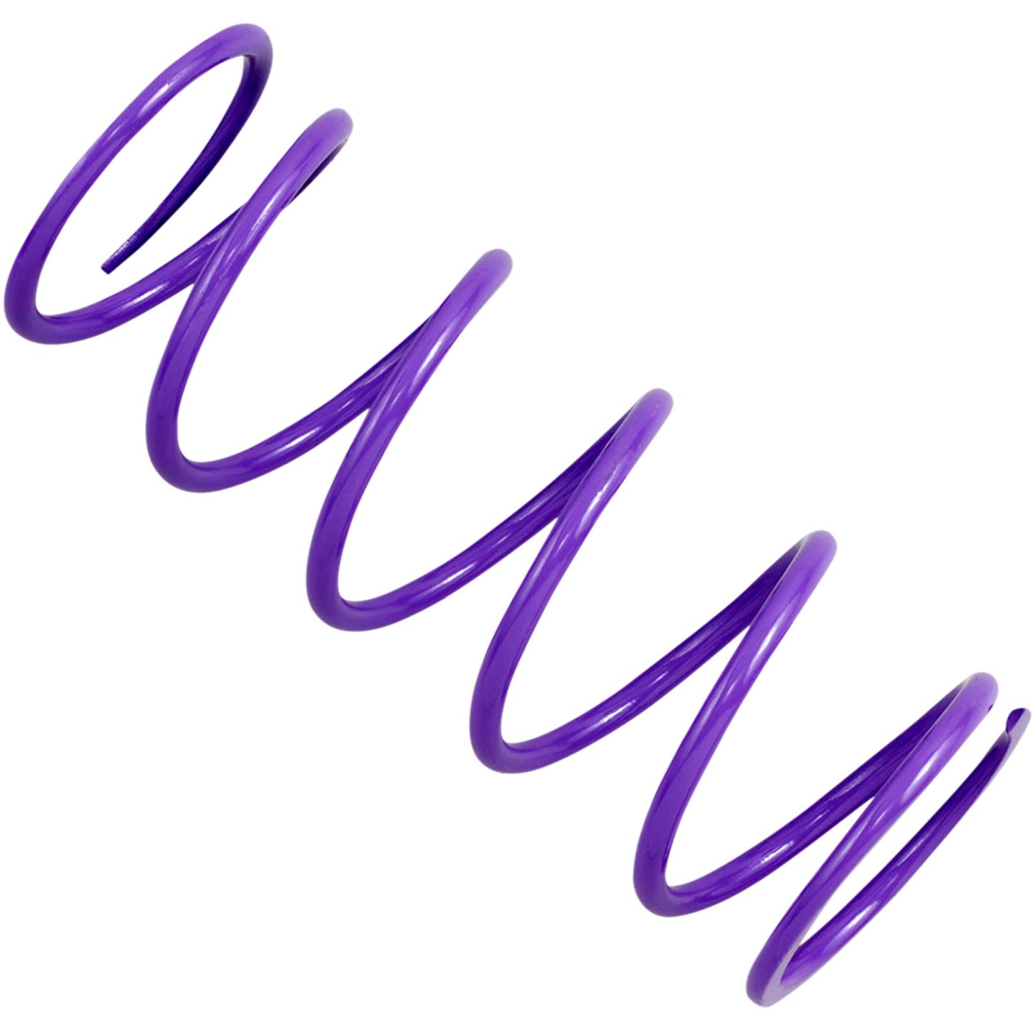 EPI Primary Spring - Purple DRS17_383029