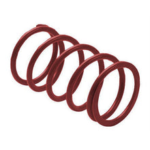 EPI Secondary Spring - Maroon ACD3_596553