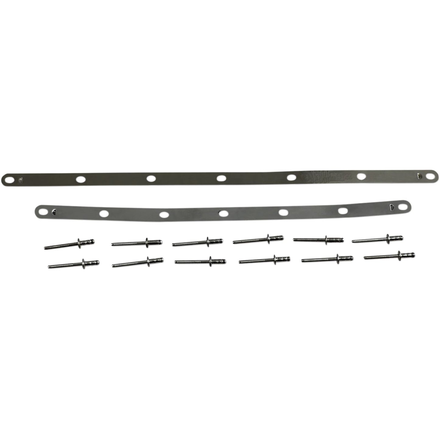 Leovince Strap and Rivet Kit - Factory R [MPN: 088421022R]_418861