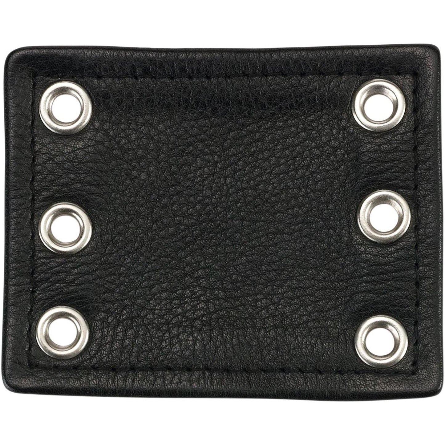 Z1R Chap Extender - Black 2811-0451_226097