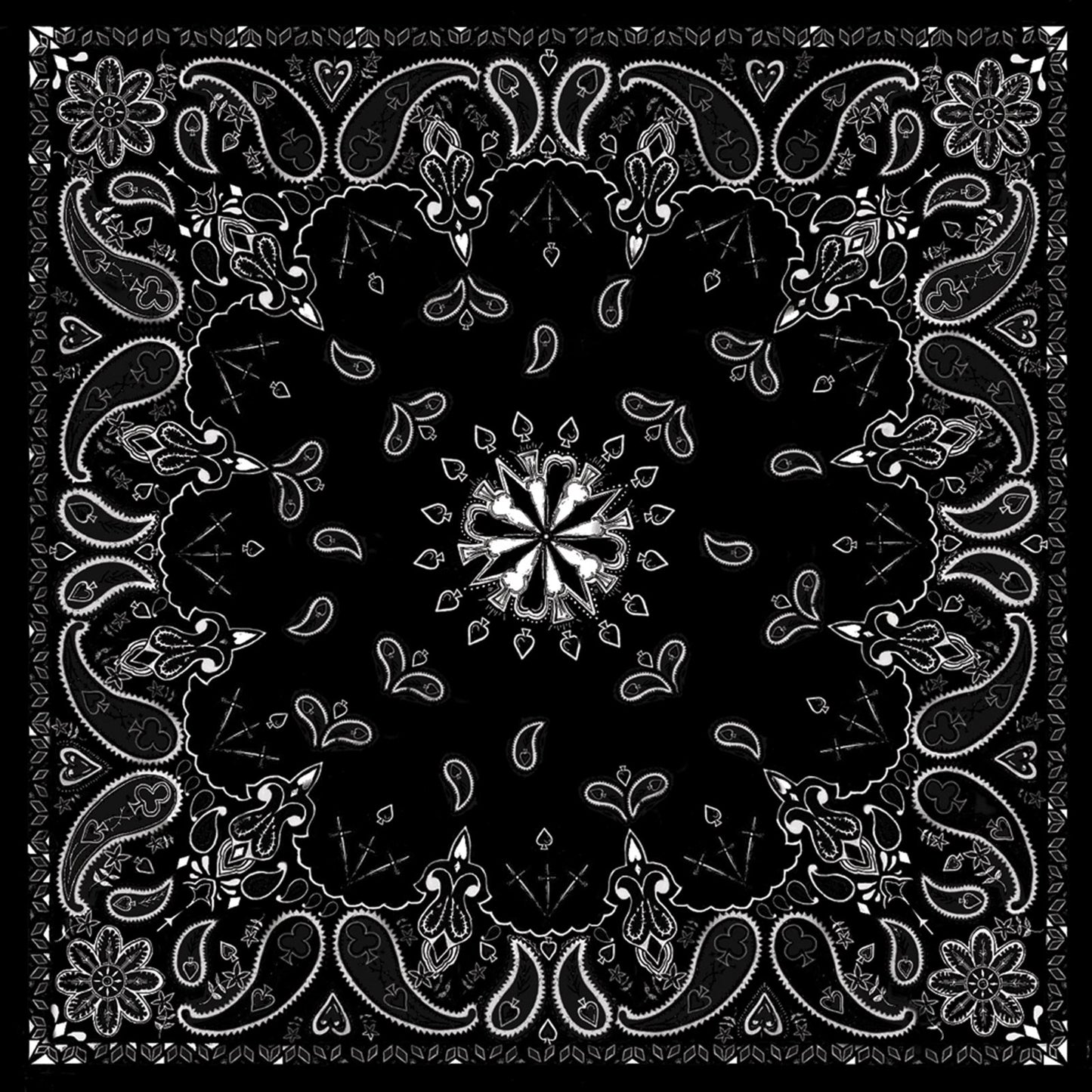 Zan Bandanna_242440