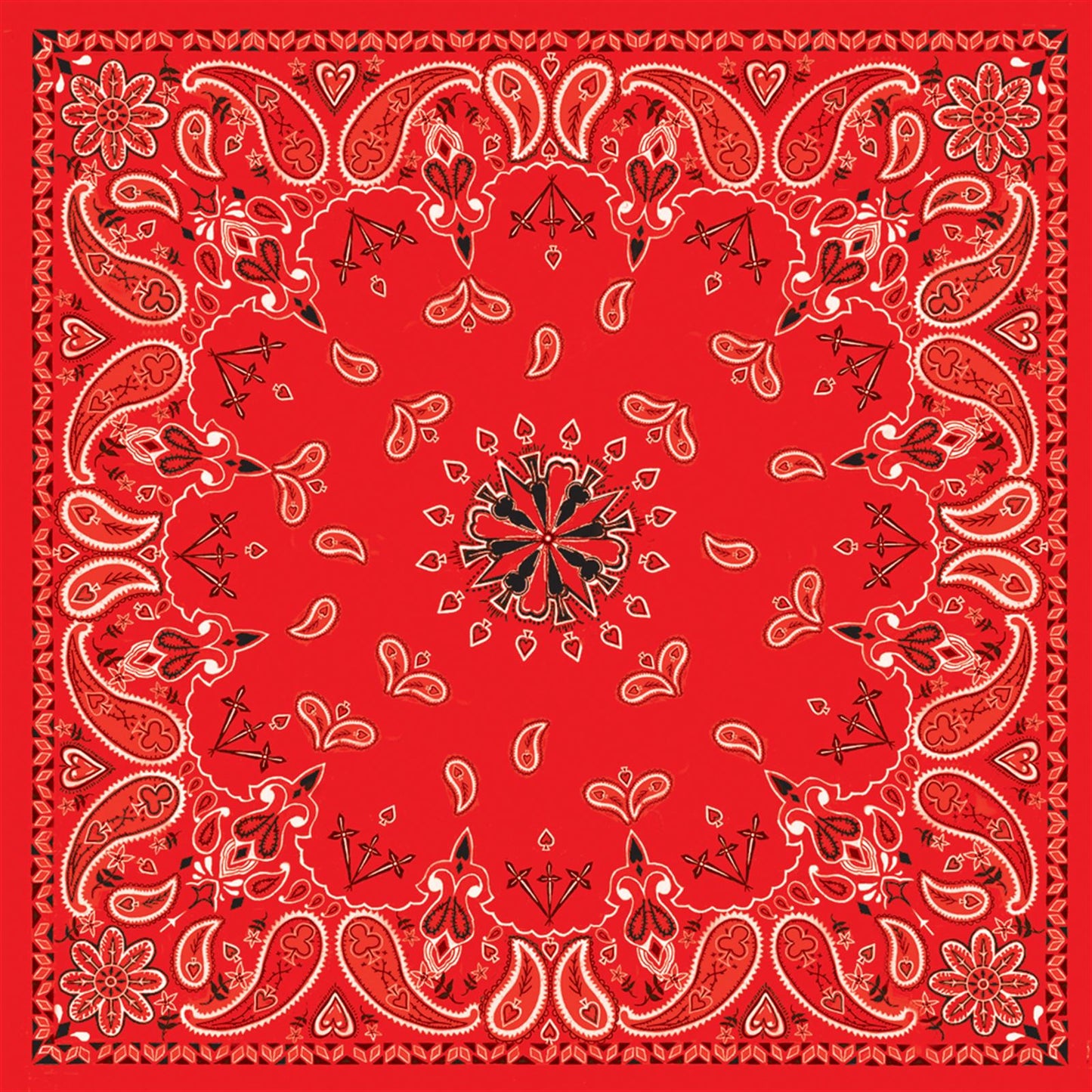 Zan Bandanna_242462