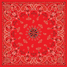 Zan Bandanna_242462