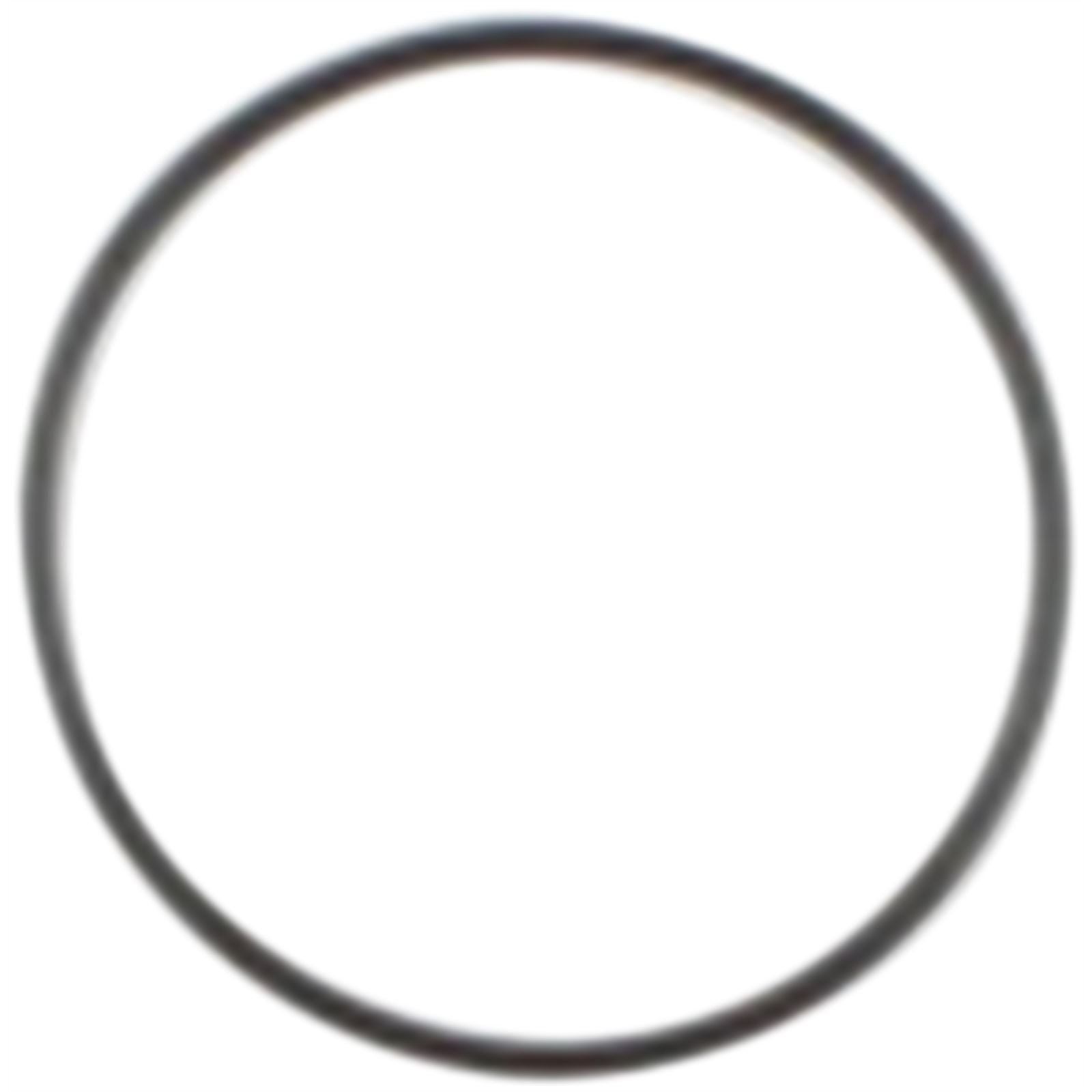 Cometic Starter O-Ring Big Twin C9433F1_364758