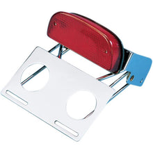 Drag Specialties Taillight/Bracket Assembly - Chrome DS-272026_251401