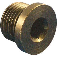 Daytona Twin Tec Hex Plug For O2 Weld Nut Replacement Part [MPN: 115002]_252730