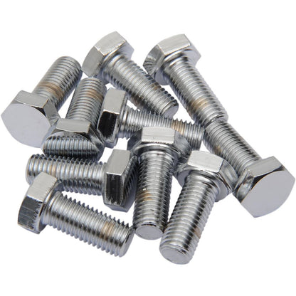 Drag Specialties 5/16-24x5/8 Chrome Hex Head DS-190635_253634