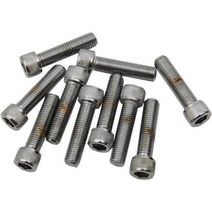 Drag Specialties 5/16-24X1 1/4 Socket Head DS-190572_253792