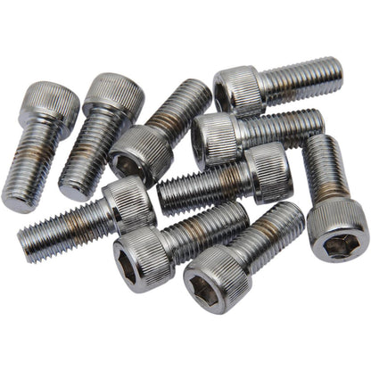 Drag Specialties 5/16-24x5/8 Socket Head DS-190568_253800