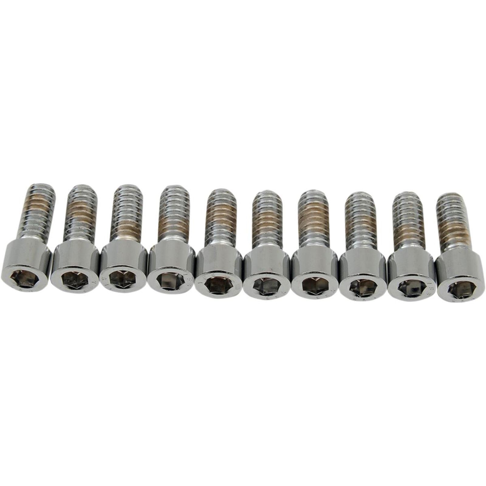 Drag Specialties 1/4-20x5/8" Smooth Socket Head DS-190534S_253877