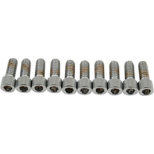 Drag Specialties 1/4-20x5/8" Smooth Socket Head DS-190534S_253877