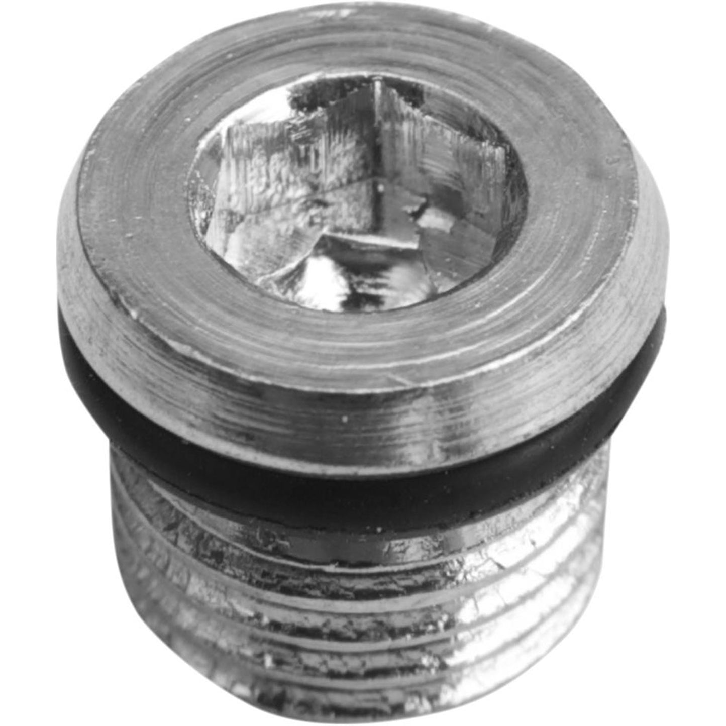 Drag Specialties Primary Plug - 5/16"-18 1107-0339_257543