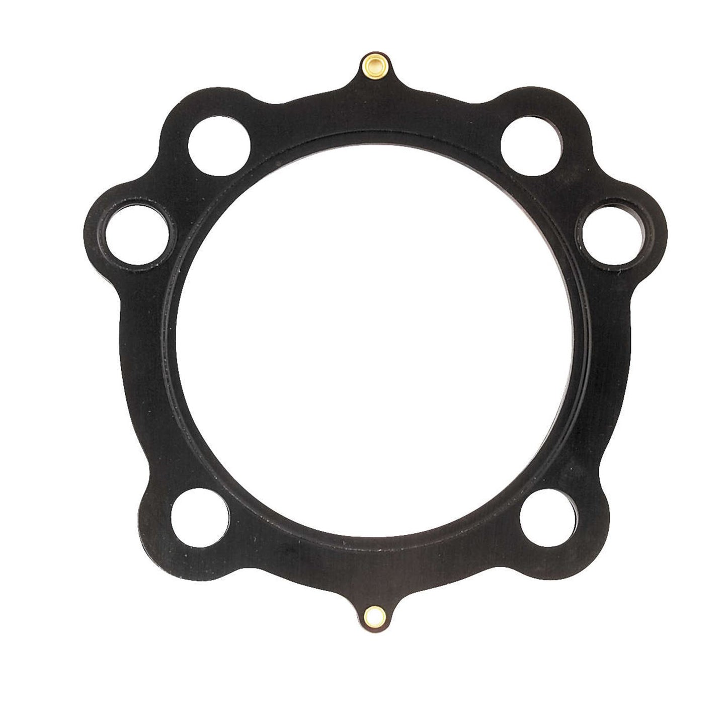 Cometic Head Gasket 3 5/8" .030 fits H-D Evolution Sportster C9690_264225