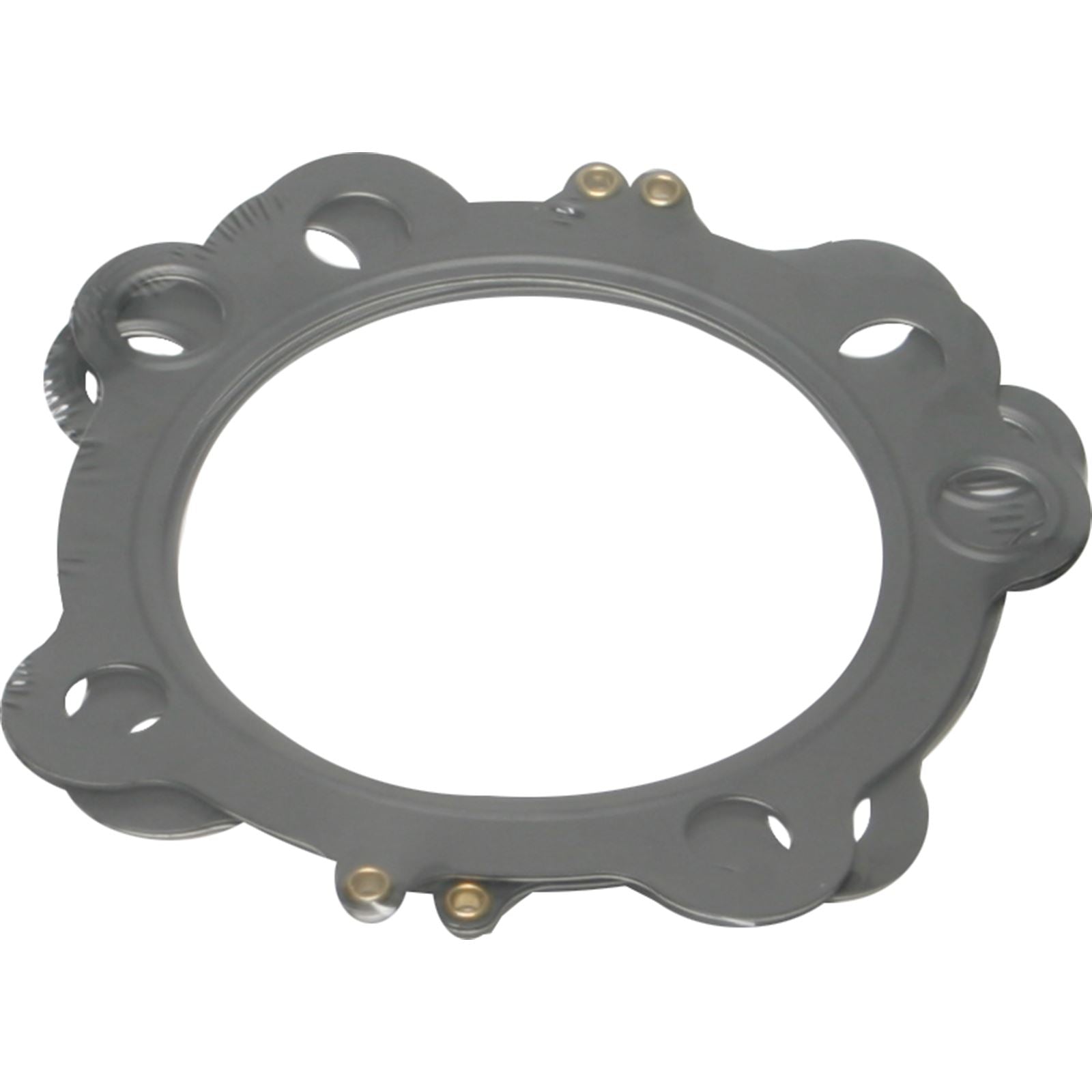 Cometic Head Gasket 3 5/8" .030 fits H-D Evolution Sportster C9690_264226