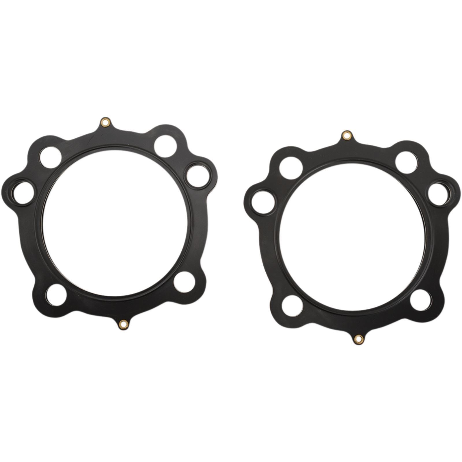 Cometic Head Gasket 3 5/8" .040 fits H-D Evolution Sportster C9691_365060