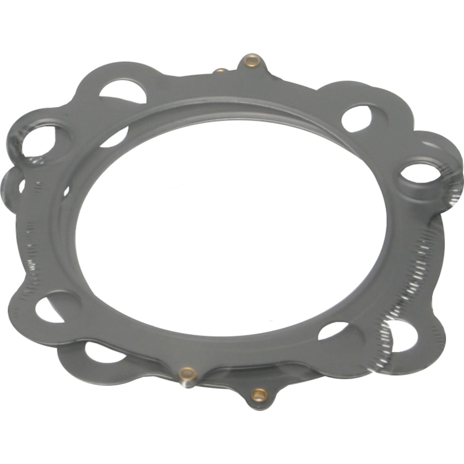 Cometic Head Gasket 3 3/4" .30 .30" fits H-D Evolution Sportster C9694_264230