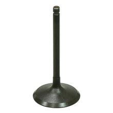 Bronco Intake Valve for Yamaha ATV AU-09219I_273914