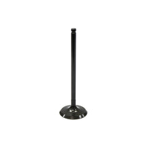 Bronco Intake Valve for Kawasaki, Suzuki ATV AU-09027I_997228