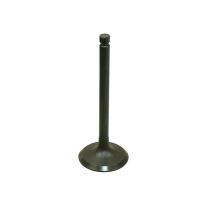 Bronco Intake Valve for Yamaha YFM600FW Grizzly AU-09157I_997233