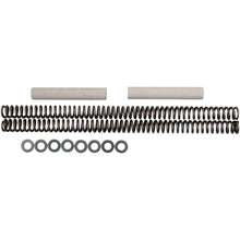 Race Tech Fork Spring 1.0 kg/mm [MPN: FRSP S2341100]_462103