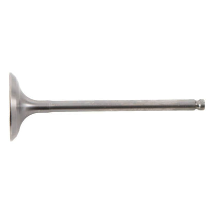 Hot Cams Intake Valve Titanium 8400008-2_1648310