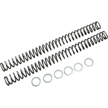 Race Tech Fork Springs - 0.50 kg/mm [MPN: FRSP 435150]_462098
