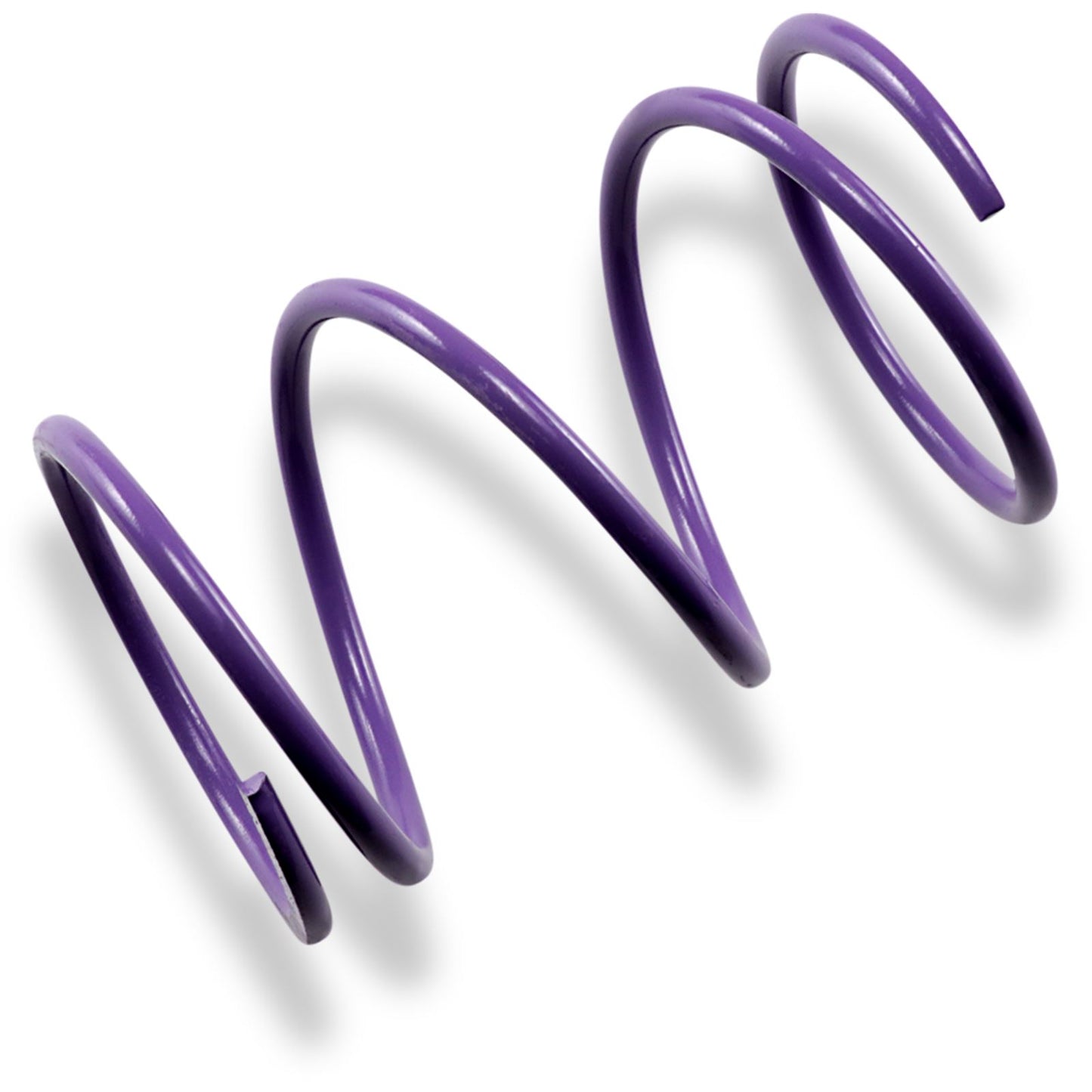 EPI Team Secondary Spring - Purple PDS-16_383052