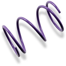 EPI Team Secondary Spring - Purple PDS-16_383052