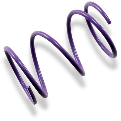EPI Team Secondary Spring - Purple PDS-16_383052