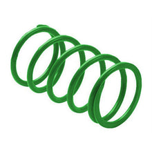 EPI Secondary Spring - Green PDS-14_597796