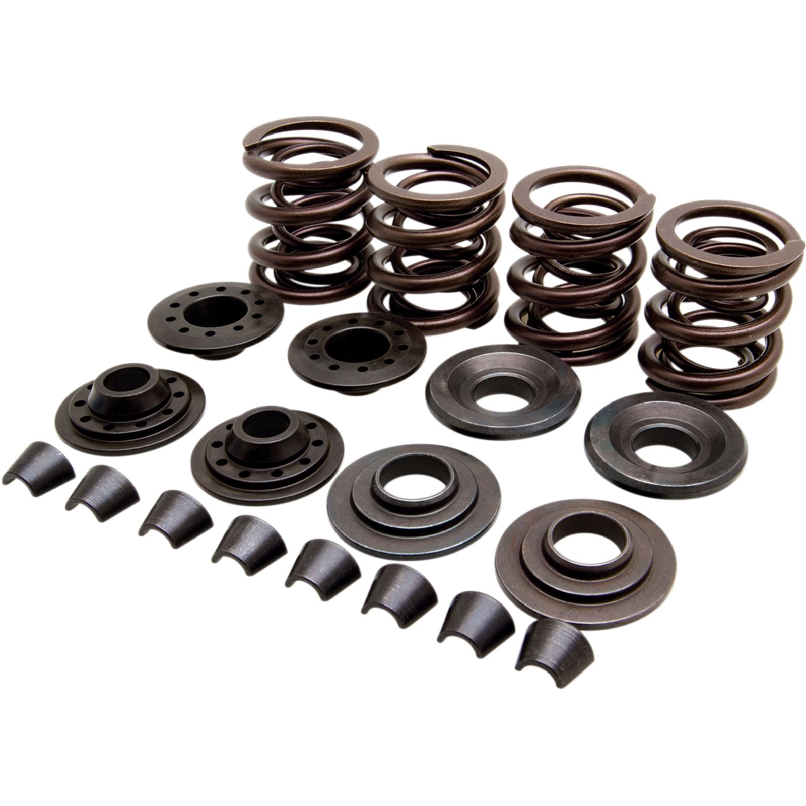 KPMI Valve Spring Kit - XL [MPN: 20-20440]_407006
