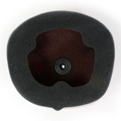 Twin Air Air Filter 150222FR_598210