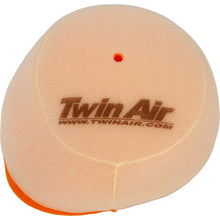 Twin Air Air Filter 152213_279142