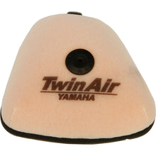 Twin Air Replacement Air Filter 152219FR_279158