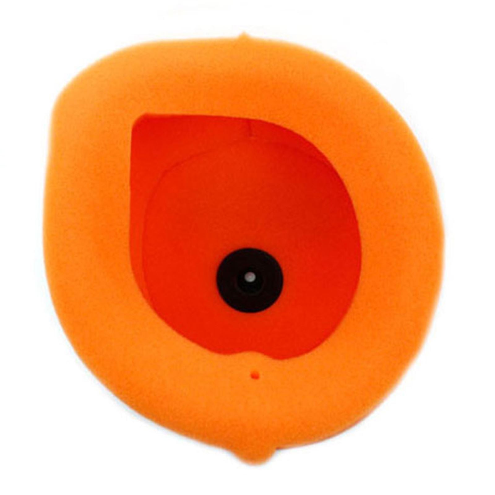 Twin Air Air Filter 150204_598244