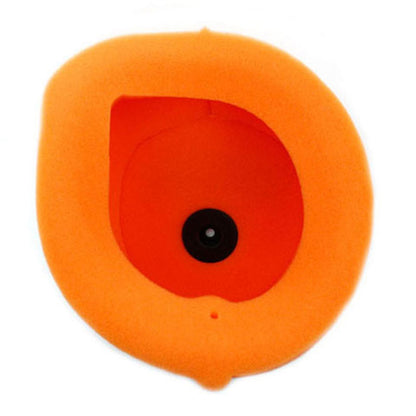 Twin Air Air Filter 150204_598244