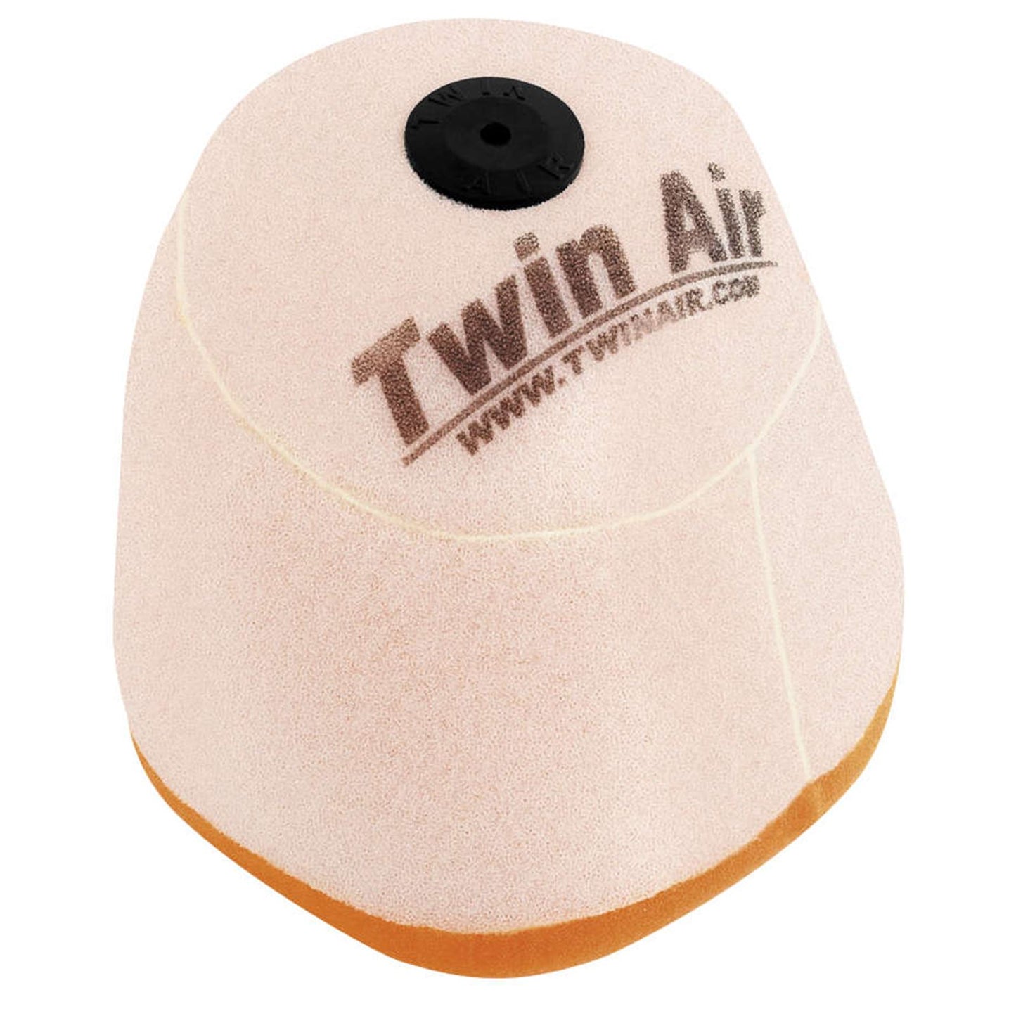 Twin Air Air Filter 150206_279197