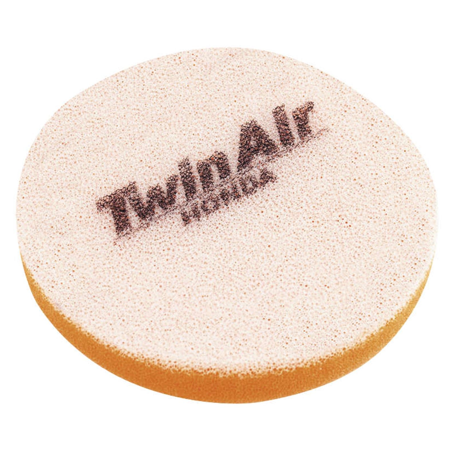Twin Air Air Filter 150318_279218