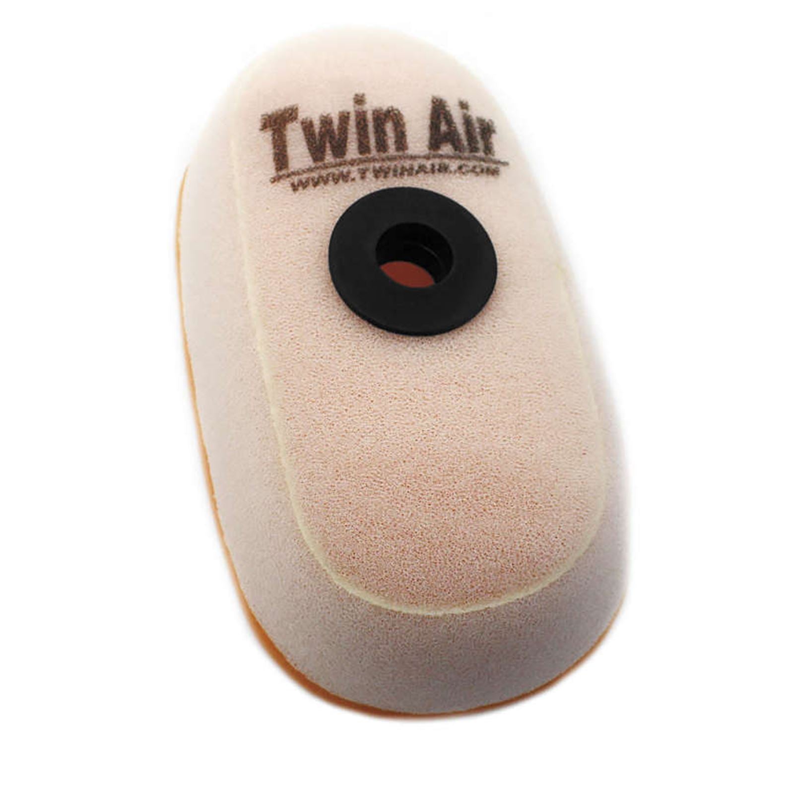 Twin Air Air Filter 150601_279223