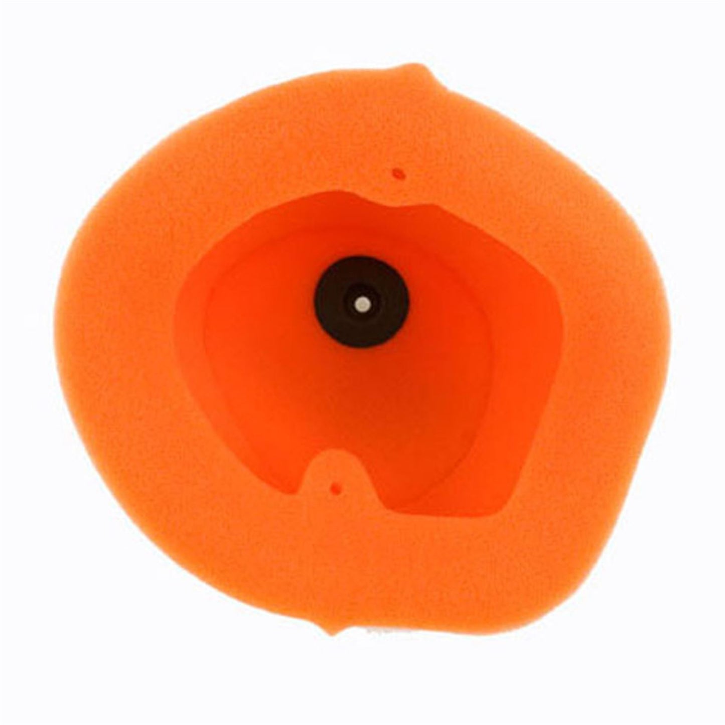 Twin Air Air Filter 151115_598280